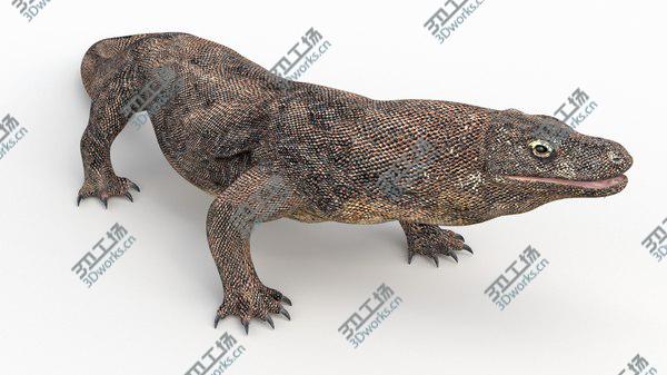 images/goods_img/20210312/3D Komodo Dragon Rigged/2.jpg